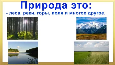 Берегите природу: простые правила | Вода России | Дзен