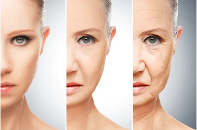 Лучшие средства для ухода за кожей лица: рейтинг и отзывы | Beauty Insider