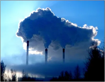 Виды загрязнения окружающей среды | 18.01.2022 | Вологда - БезФормата