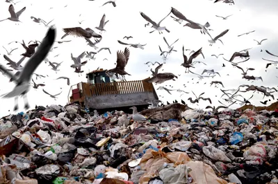 15 марта – Всемирный день защиты прав потребителя. Как уменьшить загрязнение  окружающей среды пластиком? — ПРАЦА