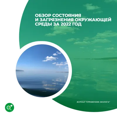 Загрязнение окружающей среды – новости и статьи по тегу | Forbes.ru