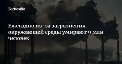 Обзор состояния и загрязнения окружающей среды за 2022 год :: Profiz.ru