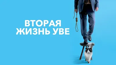 Веселые картинки: 60+ надписей, поднимающих настроение