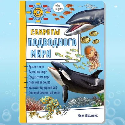 Детская книга. СЕКРЕТЫ ПОДВОДНОГО МИРА. Энциклопедия для детей. Подводный  мир. Книжка панорамка. Подарок ребенку. | Школьник Юлия - купить с  доставкой по выгодным ценам в интернет-магазине OZON (579328608)