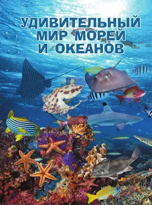 Подводный Мир. Энциклопедия для детей - Вайткене Любовь купить книгу в  магазине Благозвонница 978-5-17-153467-7