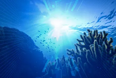 Чудесный подводный мир Северного Ледовитого океана _russian.china.org.cn