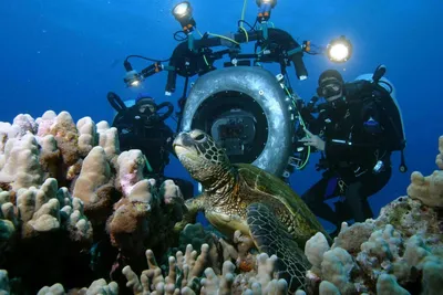 Подводный мир океана, ниспадающий …» — создано в Шедевруме