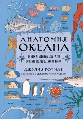 Биарриц и океан. Открой тайны подводного мира, узнай легенды прошлого —  экскурсия на «Тонкостях туризма»