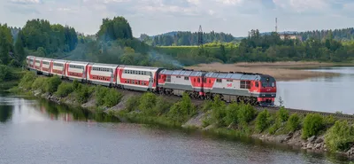 Поезда — стоковая векторная графика и другие изображения на тему Поезд -  Поезд, Съёмка сбоку, Грузовой поезд - iStock