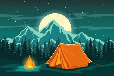 Событие для любителей приключений: ночной поход в лес