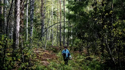 Топ 10 необходимых вещей для похода