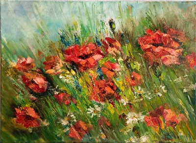 изображение красных маков в поле с зеленой травой и цветами, Кёнги до,  высокое разрешение, цветок фон картинки и Фото для бесплатной загрузки