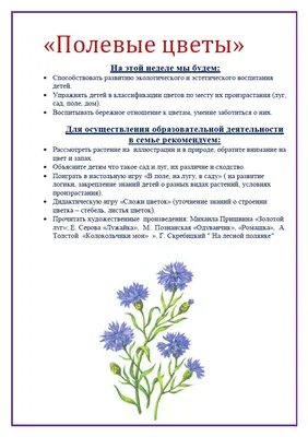 Полевые цветы – раскраски для детей | Flower coloring pages, Printable  flower coloring pages, Coloring pages