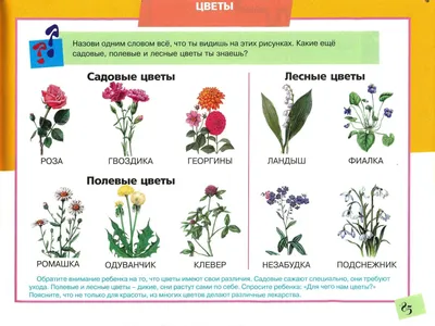 Картина маслом полевые цветы Букетик фрезий,букет цветов в вазе в  интернет-магазине Ярмарка Мастеров по цене 13000 ₽ – DVM2LRU | Картины,  Краснодар - доставка по России