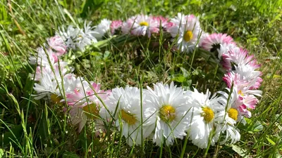 Охапка осенних полевых цветов - купить в СПБ с доставкой в Kraft Flowers