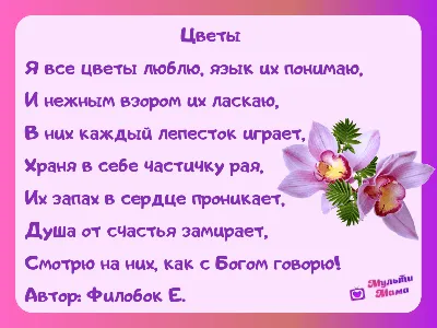 Полевые цветы – раскраски для детей | Раскраски, Рисунки цветов, Раскраски  с цветами