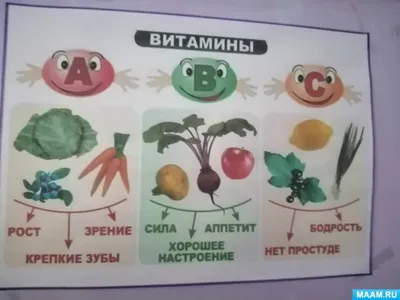 Мы то, что едим: какая еда полезная, а какая вредная? - мнение эксперта,  советы из жизни, инструкция по применению