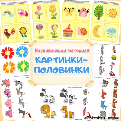 Картинки-половинки «Транспорт» – Настольные игры – магазин 22Games.net