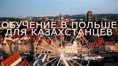 Польша предоставила гражданство рекордному числу украинцев | РБК Украина
