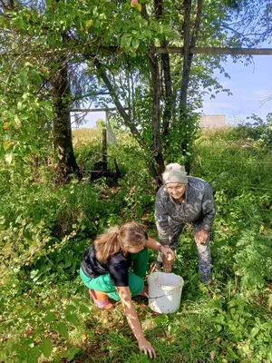 Помощь Пожилым Людям После Покупок Продуктов — стоковые фотографии и другие  картинки 25-29 лет - 25-29 лет, 70-79 лет, Автомобиль - iStock