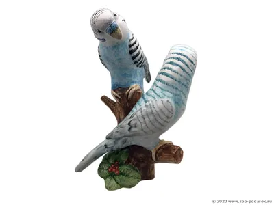 Спарите попугаев неразлучников на ветви Стоковое Фото - изображение  насчитывающей пуща, естественно: 139651596