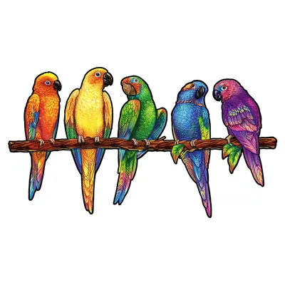 3 ары Ara попугаев в джунглях Стоковое Изображение - изображение  насчитывающей пуща, плен: 57482175