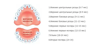 Последовательность рисования портрета для детей - 46 фото