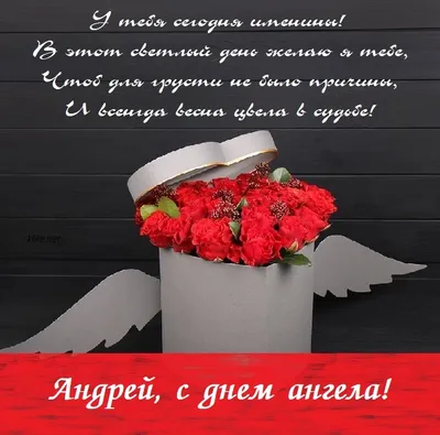 День ангела Андрея 2020 - яркие открытки и поздравления в смс - Апостроф