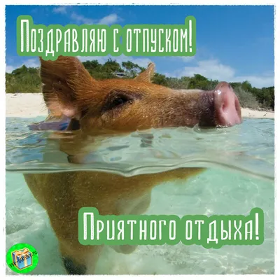 Текстовая открытка с отпуском - Скачать бесплатно на otkritkiok.ru