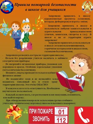 Какие правила пожарной безопасности обязаны соблюдать в школах и лагерях –  Москва 24, 10.10.2019
