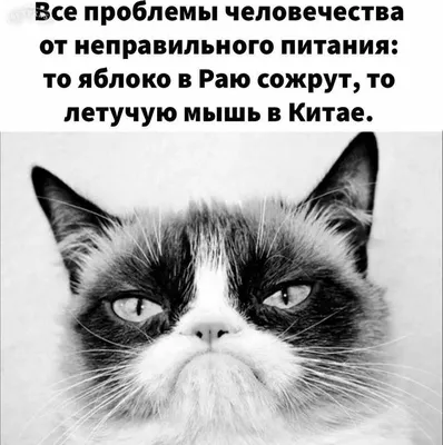 Пин от пользователя Галина Шарафутдинова на доске Музей в 2023 г | Слова со  смыслом, Юмор, Позитив