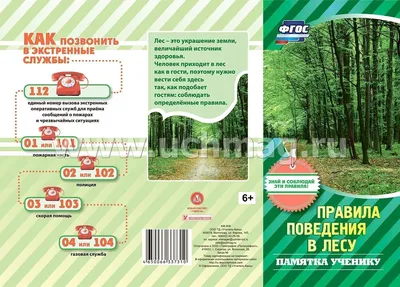 Памятка ученику \"Правила поведения в лесу\" – купить по цене: 2,70 руб. в  интернет-магазине УчМаг