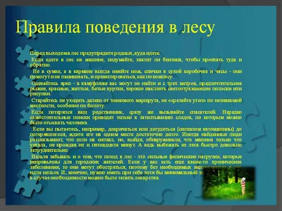 Занятие 7. Безопасный отдых. В лесу — Детская Школа Искусств №6