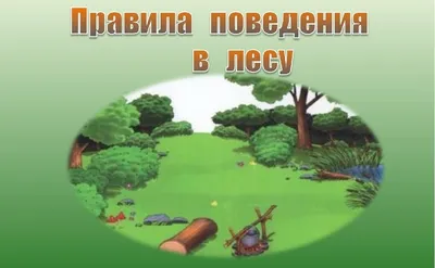 ПАМЯТКА ПРАВИЛА ПОВЕДЕНИЯ В ЛЕСУ ПО НЕДОПУЩЕНИЮ ПОЖАРА. – Администрация  сельского поселения Старый Аманак