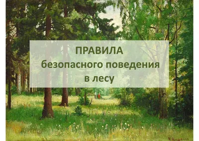 Буклет по экологии «Правила поведения в лесу» (2 фото). Воспитателям  детских садов, школьным учителям и педагогам - Маам.ру