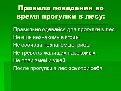 ПРАВИЛА ПОВЕДЕНИЯ В ЛЕСУ. ОБЩИЕ ТРЕБОВАНИЯ БЕЗОПАСНОСТИ ЛЕТОМ. - Центр  детско-юношеского туризма и краеведения