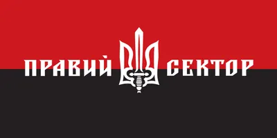 Франшиза «Правого сектора»: что будет с главной страшилкой Кремля? |  Belarus Security Blog
