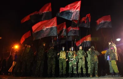 Правый сектор\"* может сформировать заградотряды в Донбассе, заявили в ДНР -  РИА Новости, 25.01.2022