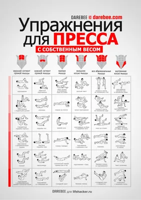 Набор Ролик для пресса с ковриком ПОБЕДИТЬ PW-02 купить в Москве в магазине  Светофор