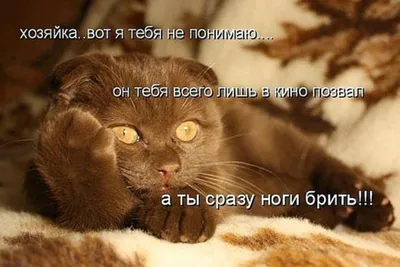 Скорее бы уже. : r/Pikabu