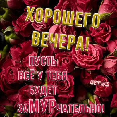 приятного вечера хорошего настроения друзья｜TikTok Search