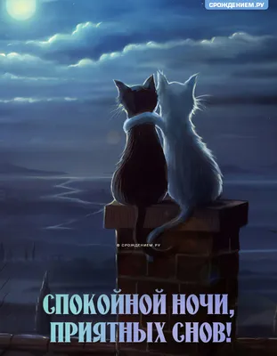 Картинка с двумя котами \"Спокойной ночи, приятных снов!\" • Аудио от Путина,  голосовые, музыкальные