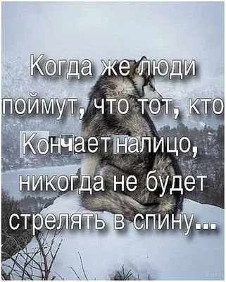 Прикольные капкейки на день рождения подруге — купить по цене 240 руб. |  Интернет магазин Promocake Москва