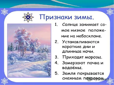 Лэпбук «Зима. Признаки зимы» (7 фото). Воспитателям детских садов, школьным  учителям и педагогам - Маам.ру