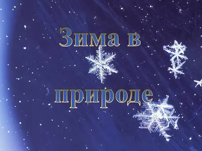 Безопасность детей в зимний период | Официальный сайт Муниципального  бюджетного дошкольного образовательного учреждения \"Детский сад № 6 \"Цветик\"