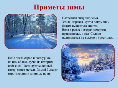 Урок окружающего мира во 2-м классе. Тема: \"Зима в природе\"