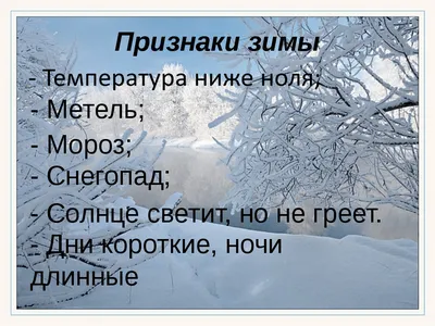 Лэпбук «Зима» для дошкольников (20 фото). Воспитателям детских садов,  школьным учителям и педагогам - Маам.ру