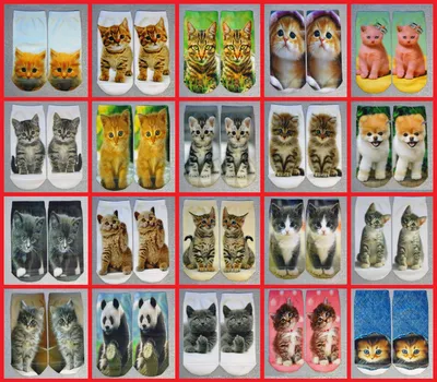Носки с модным котом. Носки 3д. Носки с котами. Прикольные креативные носки  для девушек. 3д принт (ID#1905909196), цена: 59 ₴, купить на Prom.ua