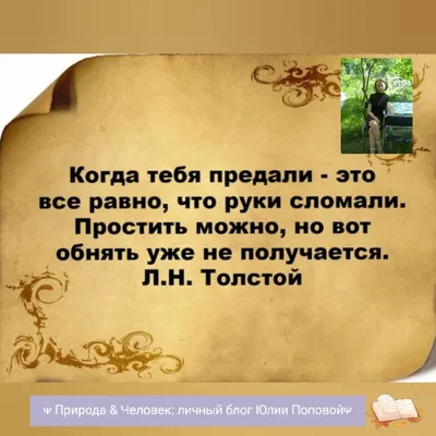 ПОГОВОРИМ О ТОМ, КАК ПЕРЕЖИТЬ ПРЕДАТЕЛЬСТВО | «ЖИЗНЬ В СТРОКАХ» ✍️ Блог –  Юлии Поповой | Дзен