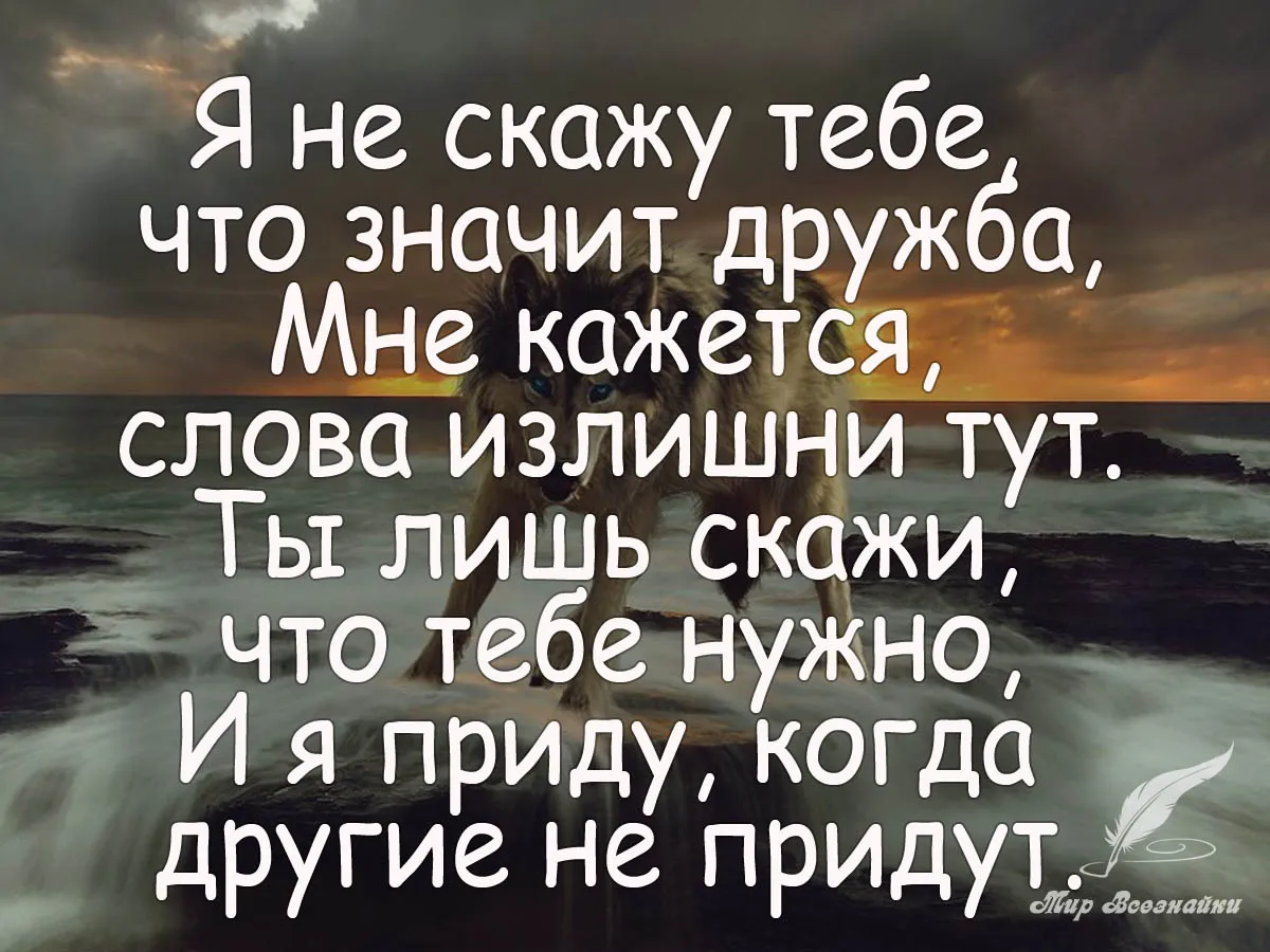 Цитаты про дружбу. Про друзей высказывания. Цитаты про дружбу со смыслом. Цитаты про друзей.